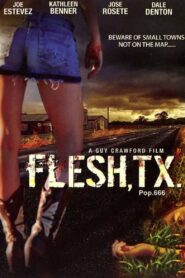 Flesh, TX 2009 on netflix