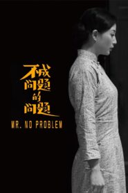 Mr. No Problem 2017 on netflix