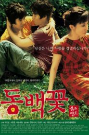 Camellia Project 2005 on netflix