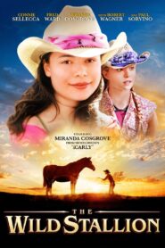 The Wild Stallion 2009 on netflix