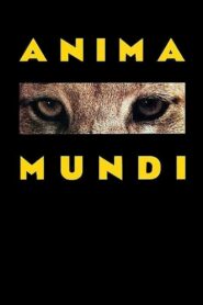 Anima Mundi 1991 on netflix