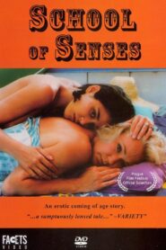 School of Senses 1996 on netflix