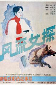 风流女探 1988 on netflix