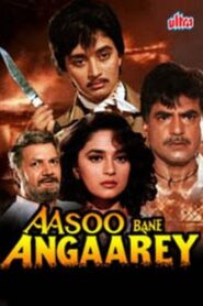 Aasoo Bane Angaarey 1993 on netflix