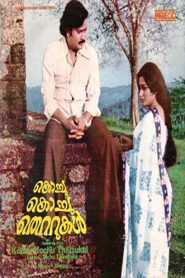 Kochu Kochu Thettukal 1980 on netflix