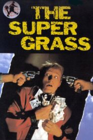 The Supergrass 1985 on netflix