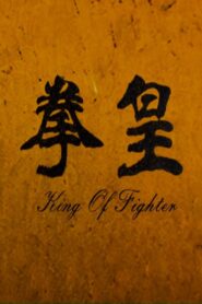 The King of Fighters 2011 on netflix