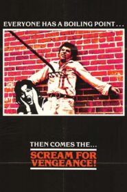 Vengeance 1980 on netflix