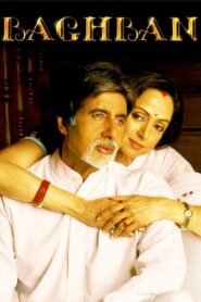 Baghban 2003 on netflix