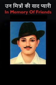 In Memory of Friends 1990 on netflix