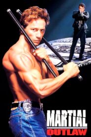 Martial Outlaw 1993 on netflix