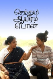 Sethum Aayiram Pon 2019 on netflix