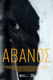 Avanos 2018 on netflix