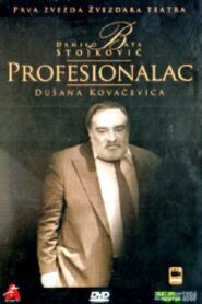 The Professional 1990 on netflix