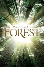 Once Upon a Forest 2013 on netflix