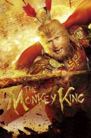 The Monkey King 2014 on netflix