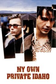 My Own Private Idaho 1991 on netflix
