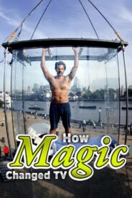 How Magic Changed TV 2017 on netflix