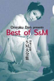 Oniroku Dan: Best of SM 1984 on netflix