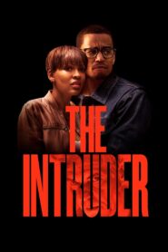 The Intruder 2019 on netflix