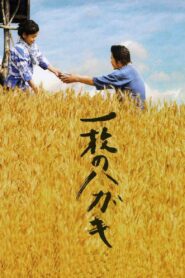 Postcard 2010 on netflix