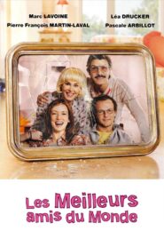 Best Friends Forever 2010 on netflix