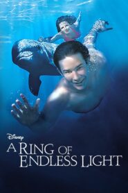 A Ring of Endless Light 2002 on netflix
