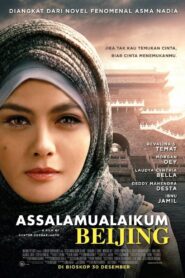Assalamualaikum Beijing 2014 on netflix