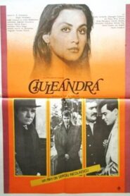 Ciuleandra 1985 on netflix