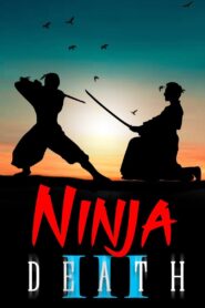 Ninja Death 3 1987 on netflix