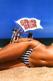 Spring Break 1983 on netflix