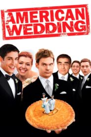 American Wedding 2003 on netflix