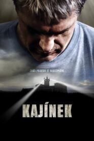 Enemies of the State 2010 on netflix
