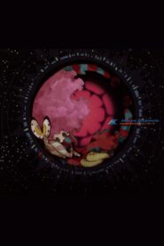 Universe 2007 on netflix