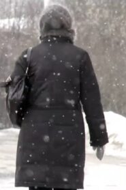 Snow 2011 on netflix