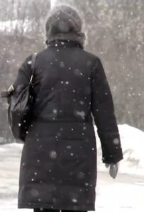 Snow 2011 on netflix