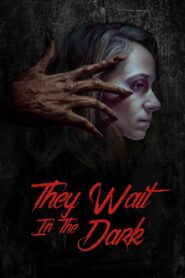 They Wait in the Dark 2022 on netflix