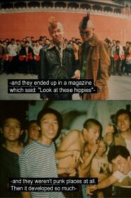 The New Flowers of Beijing 2002 on netflix