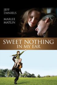 Sweet Nothing in My Ear 2008 on netflix