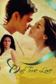 One True Love 2008 on netflix