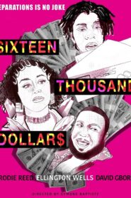 Sixteen Thousand Dollars 2020 on netflix