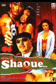 Mysteries Shaque 2004 on netflix