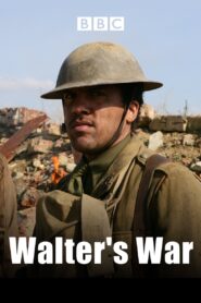 Walter’s War 2008 on netflix
