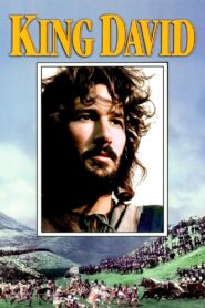 King David 1985 on netflix