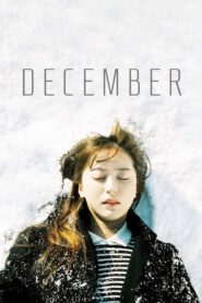 December 2014 on netflix