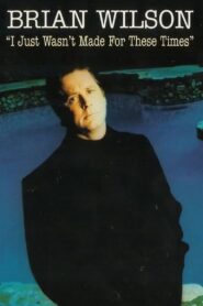 Brian Wilson: I Just Wasn’t Made for These Times 1995 on netflix