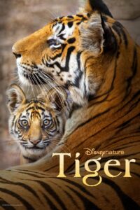 Tiger 2024 on netflix
