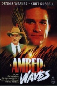 Amber Waves 1980 on netflix