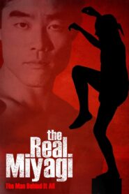 The Real Miyagi 2015 on netflix