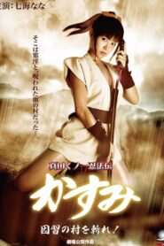 Lady Ninja Kasumi 7: Damned Village 2009 on netflix